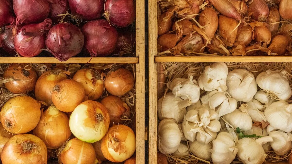 Урожай полезно сортировать в отдельные ящички. Фото: unsplash.com