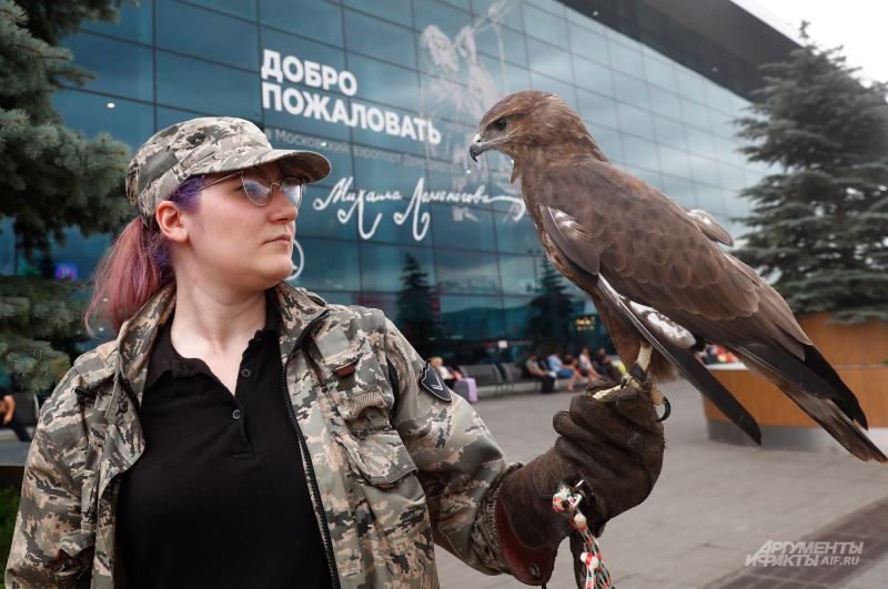    Фото:  АиФ/ Игорь Харитонов