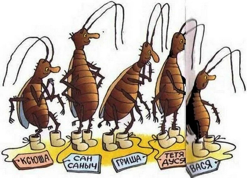 Картинка из интернета