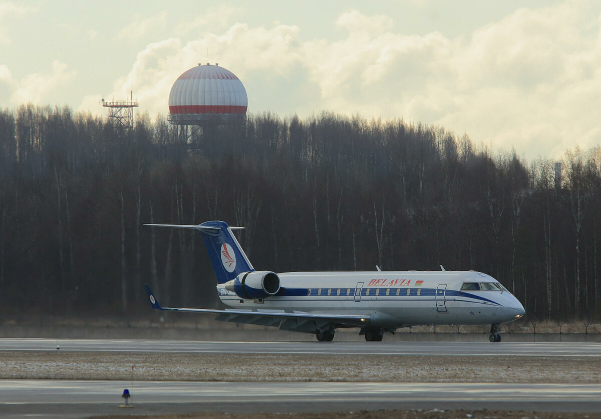 Фото: Zamir Usmanov/Russian Look/Globallookpress