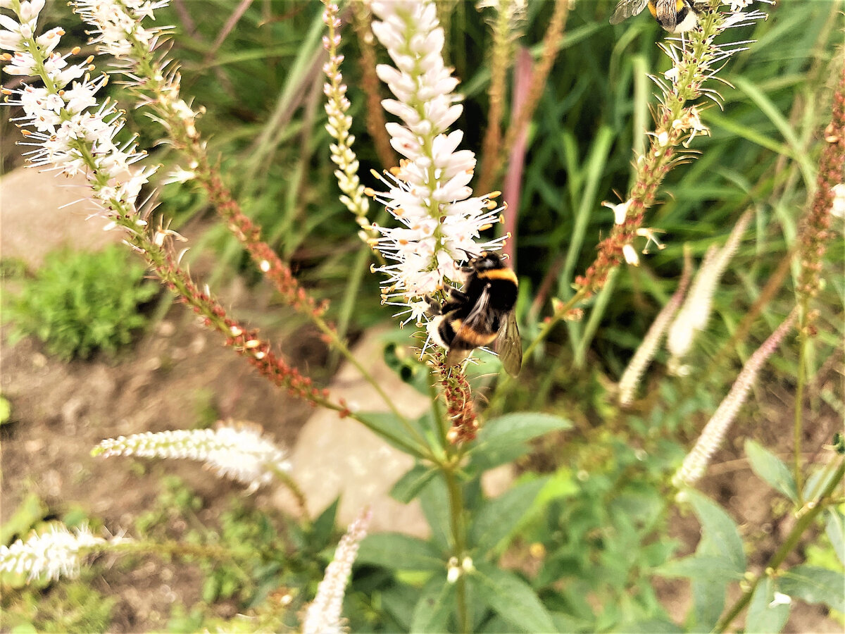 Август 2023г. в Москве