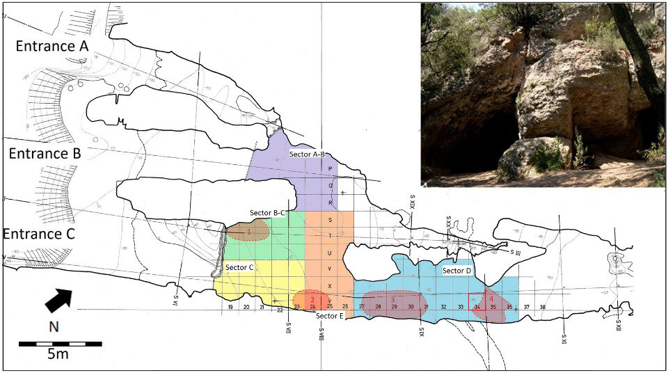   Mercedes Murillo-Barroso et al. / Scientific Reports, 2023