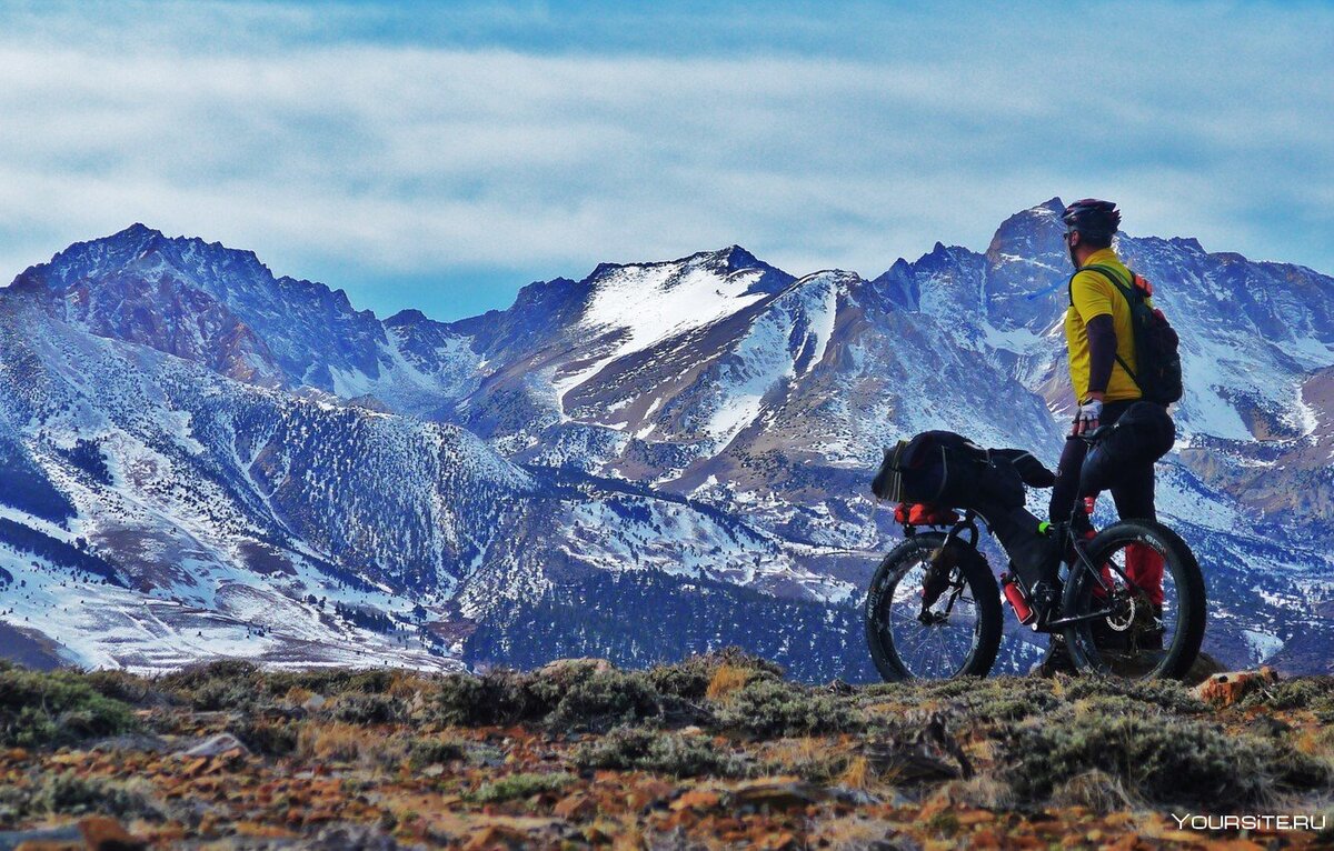 Фото из интернета