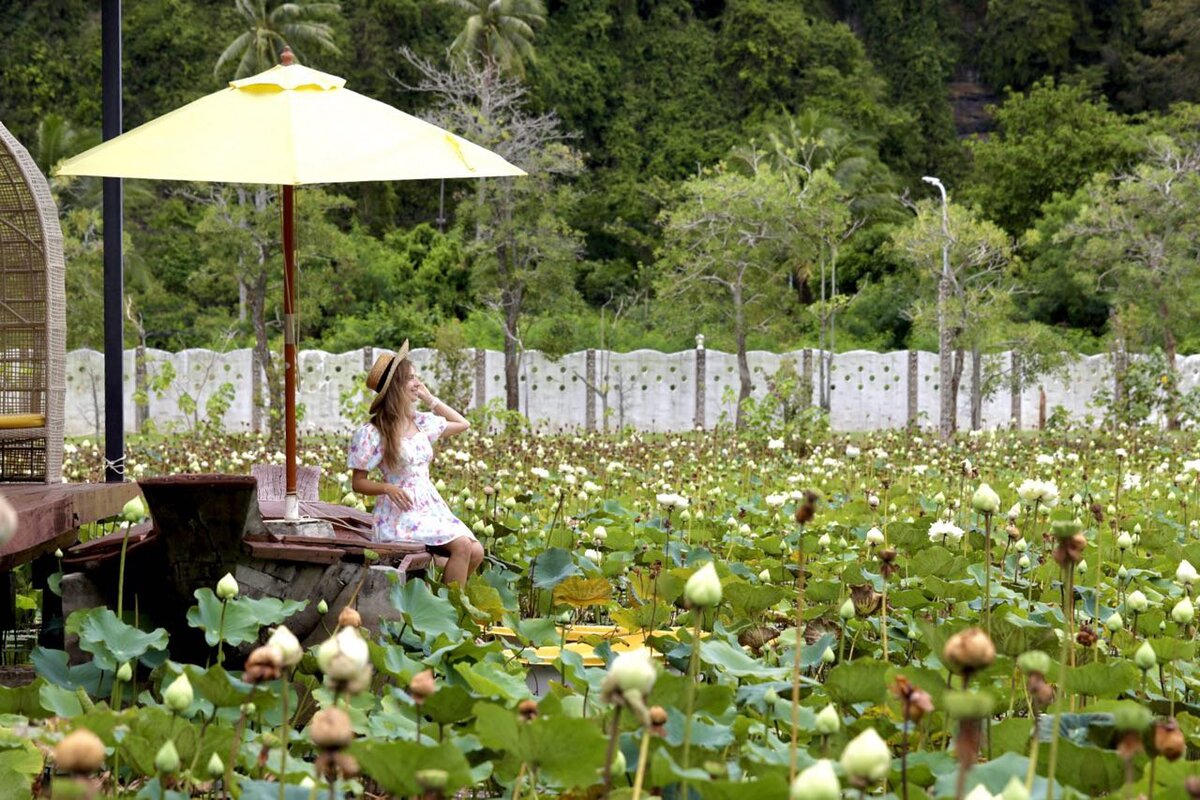 В отеле есть свое озеро с лотосами, можно красивых фоток наделать))