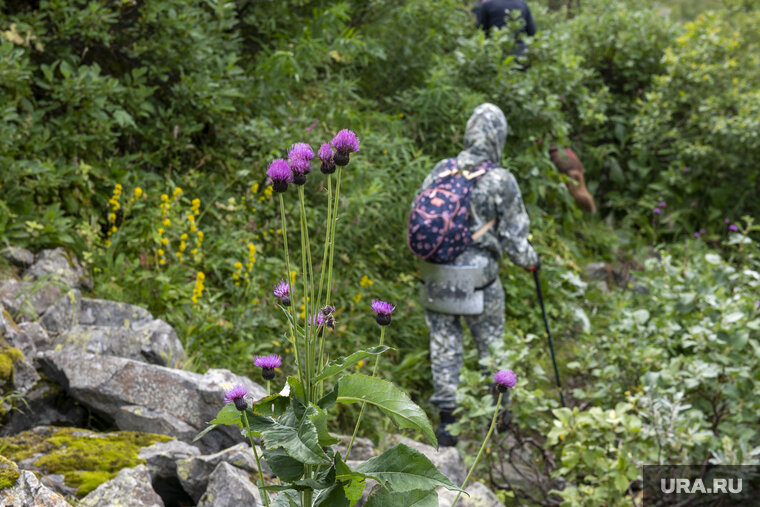    Женщину нашли на горе Ягодной (архивное фото)