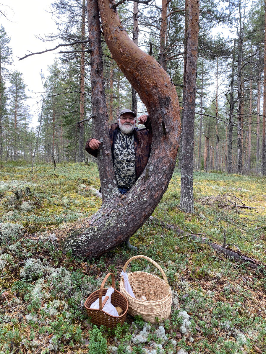 Иваныч) У знакового дерева. 