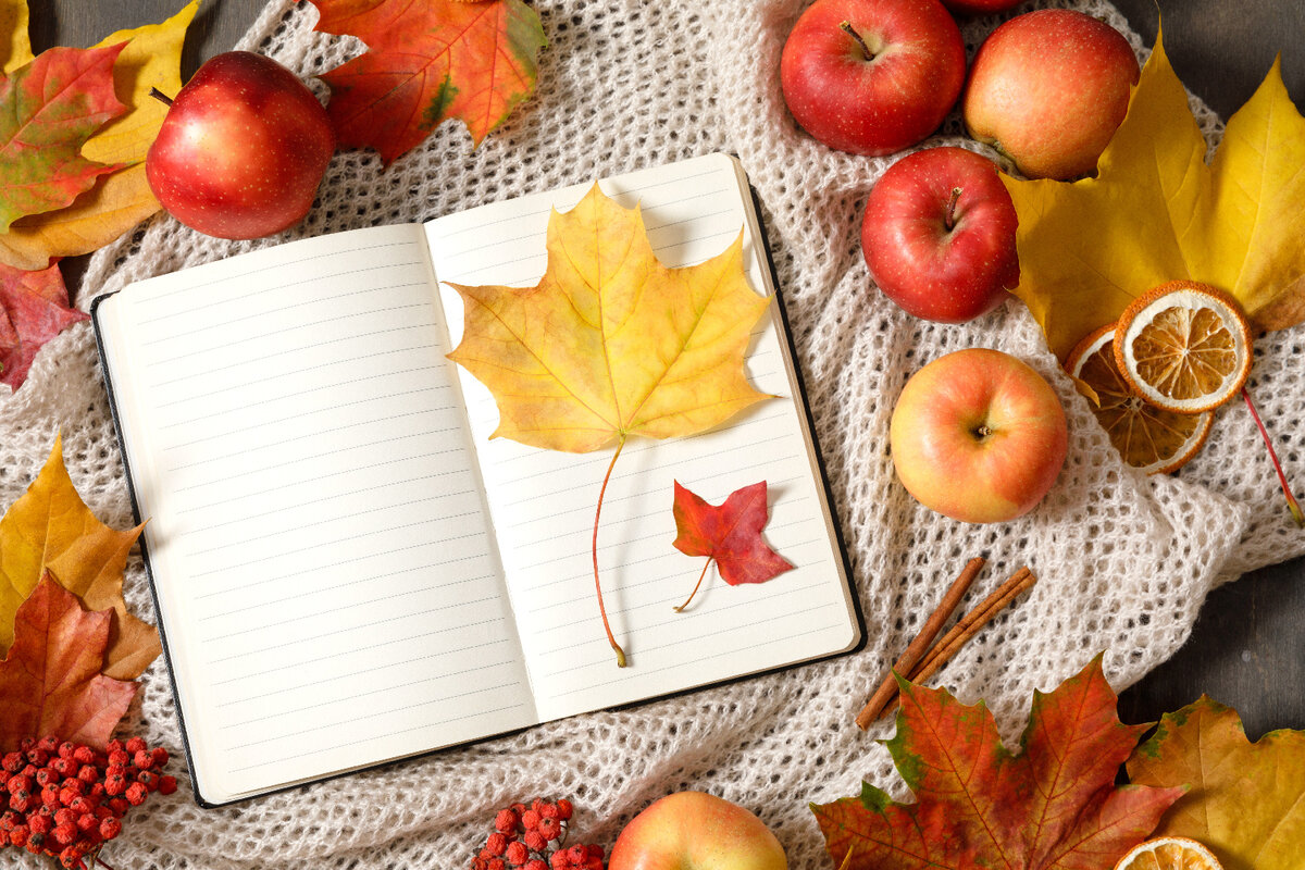    Фото: iStock/Magic cinema