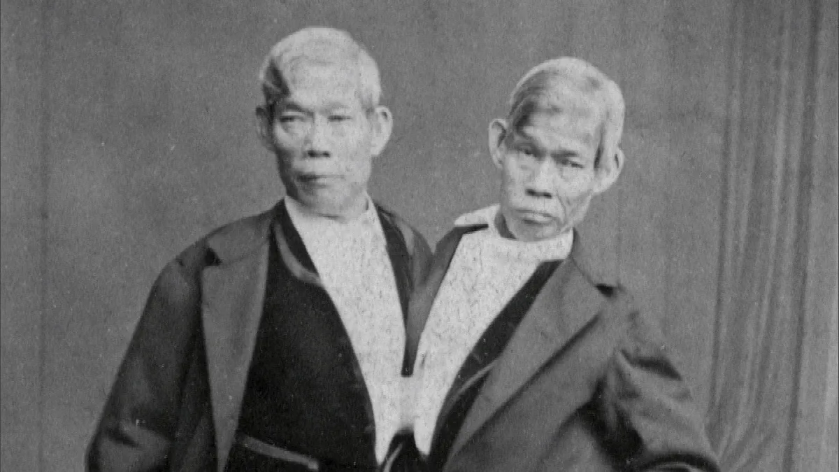 Источник: mavink.com