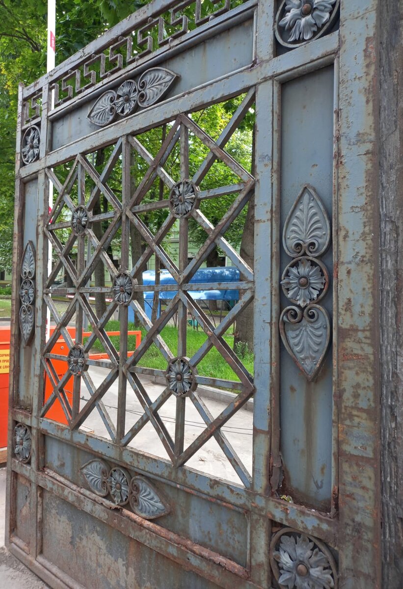 Фото автора.