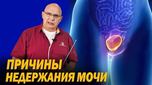 У женщин после 60 слабые ноги, и нет брюшного пресса. Доступно объясняю, почему может начать подтекать моча. Таблетки не помогут, лишь мышцы