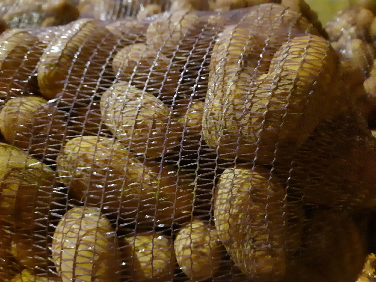 Как же выбрать идеальный картофель?