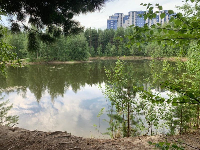    За ночь в Сургуте утонули мужчина и женщина