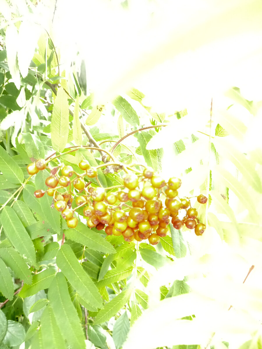 Фото автора канала