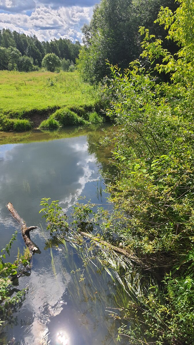 Вид с моста через реку Пажа в Хотьково
