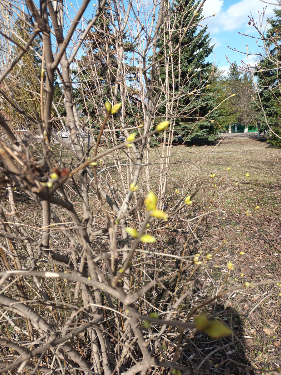 Фото автора 