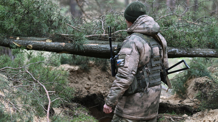   РИА Новости Алексей Майшев