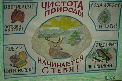    Международная экологическая премия «ЭкоМир» в Подмосковье ©Пресс-служба министерства экологии и природопользования Московской области
