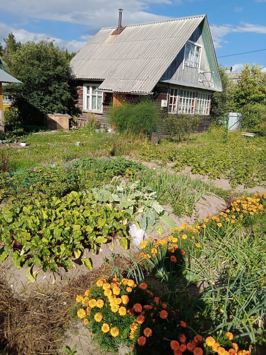 дача с участком.