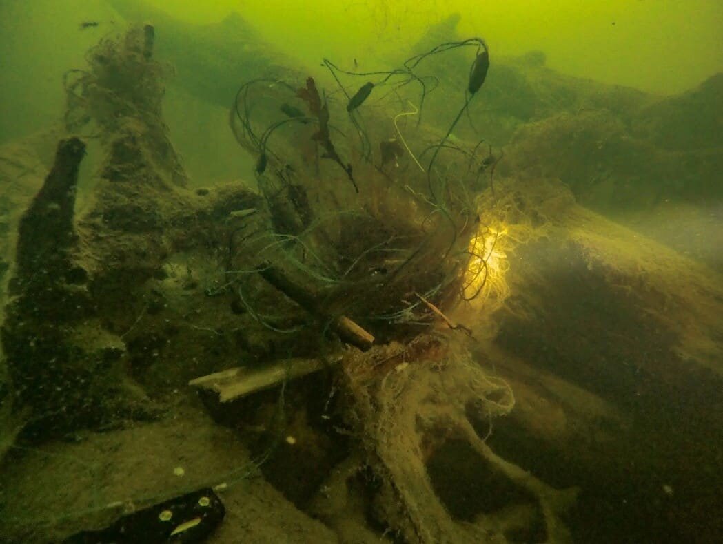 какая рыба водится в телецком озере горного алтая