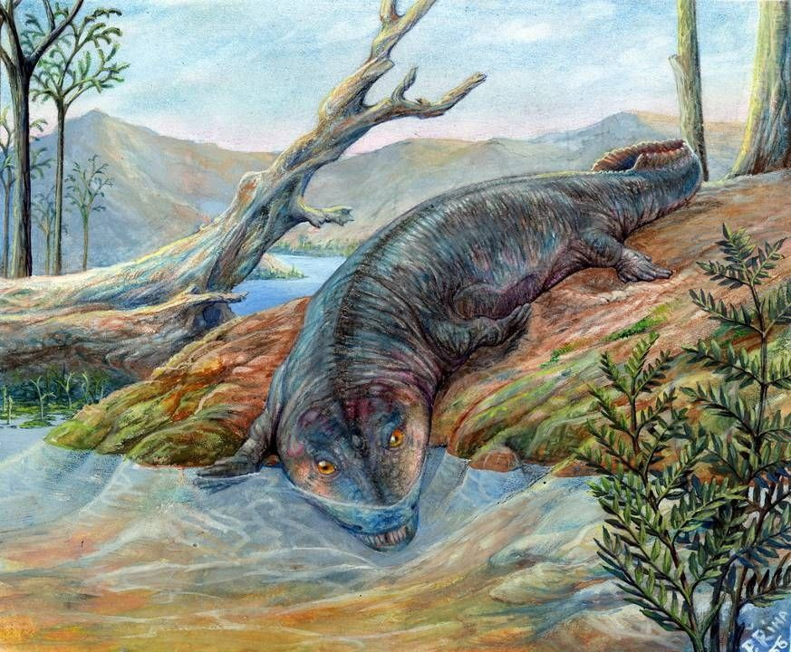 — Да ну этот ваш выход на сушу! Нас и под водой неплохо кормят...