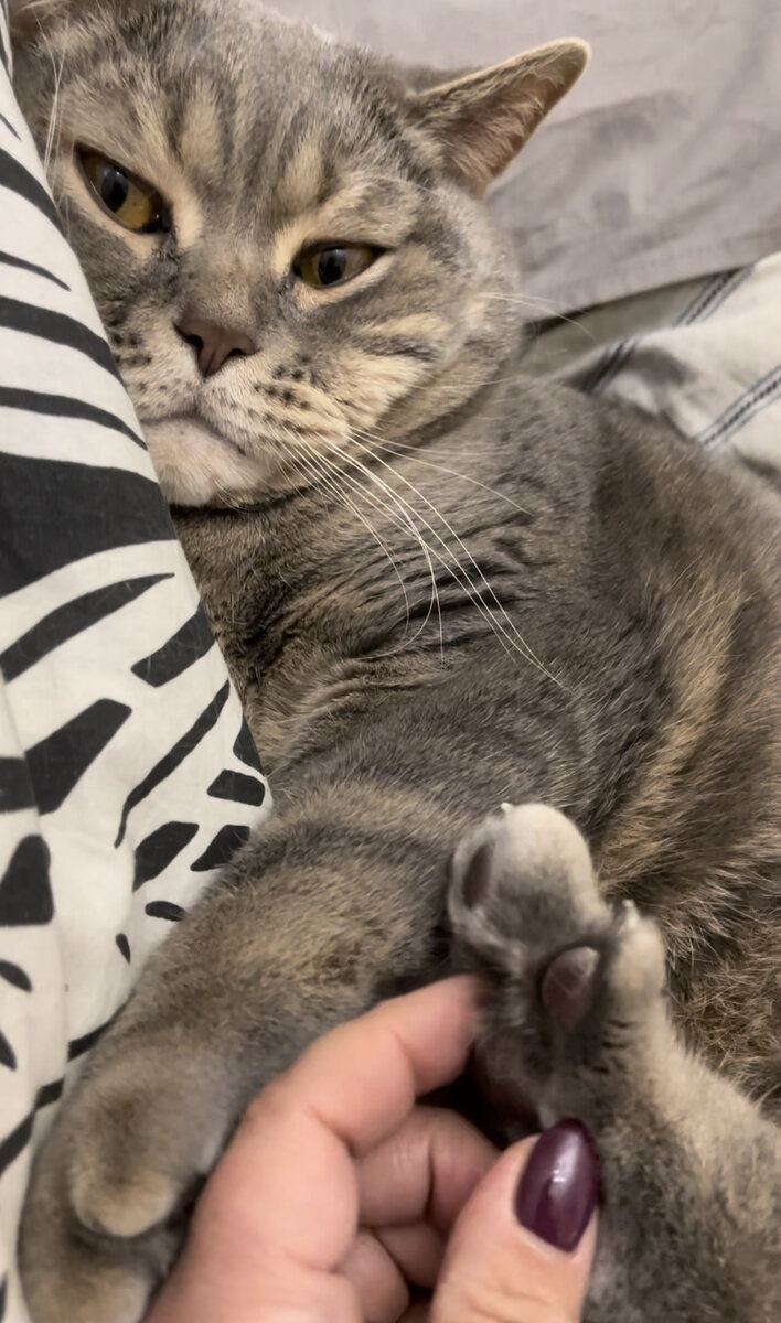 Чеши мне пятки, раб!