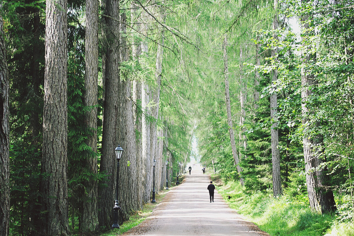 Дорога к Игуменскому кладбищу