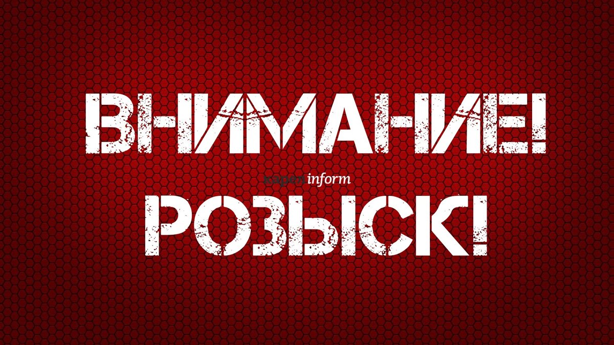     Ее ищут больше недели. Об этом сообщает поисковый отряд «ЛизаАлерт» в соцсети «Вконтакте».