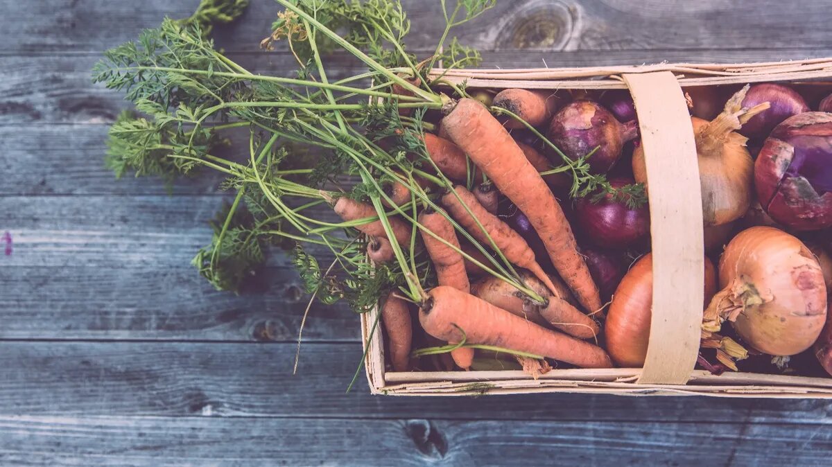 Когда убирать лук и чеснок. Фото: www.piqsels.com