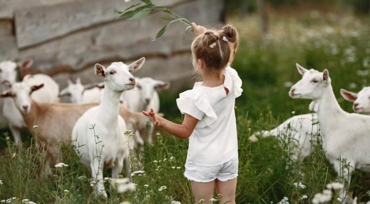 Фото: freepik.com/prostooleh