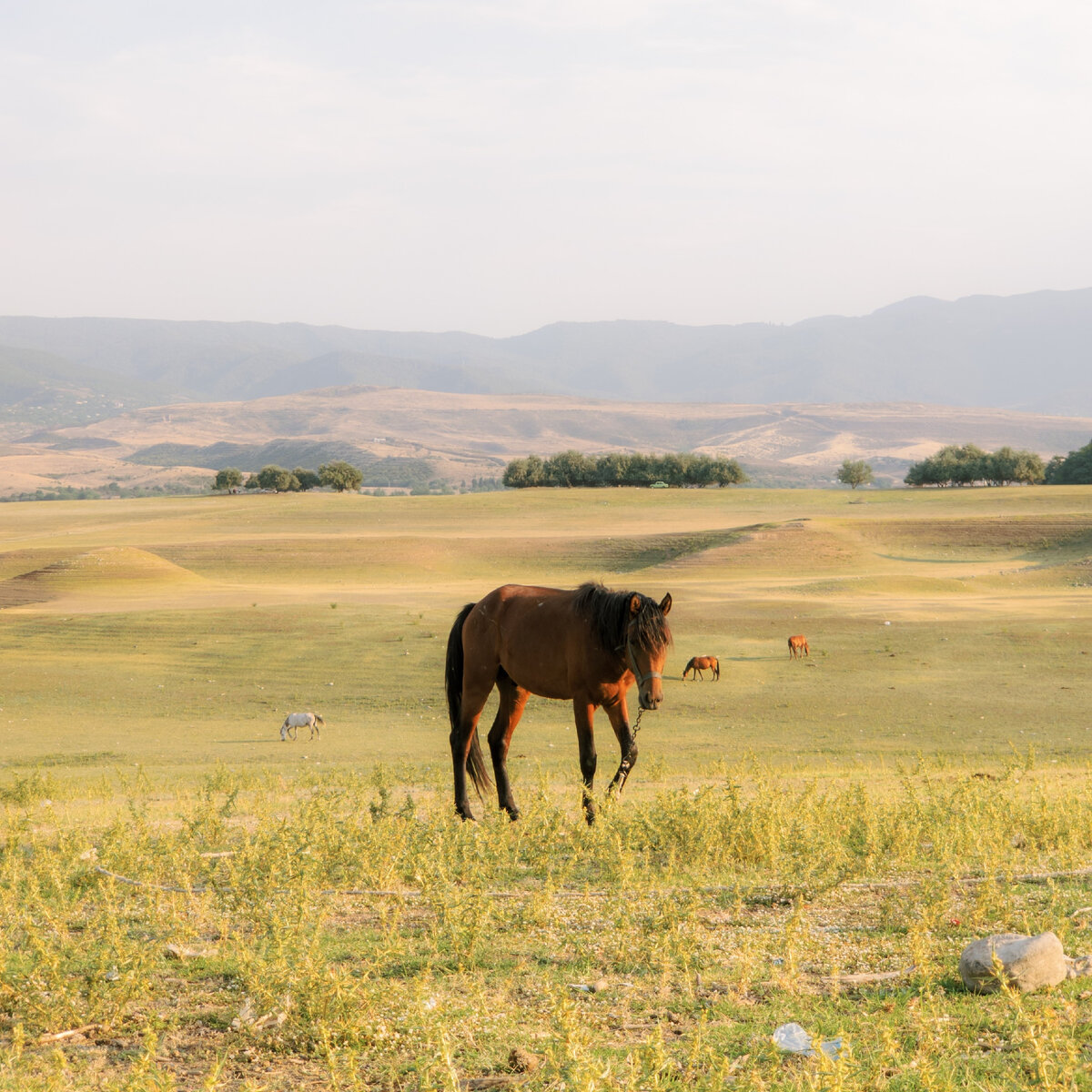 © Orxan Musayev - Unsplash