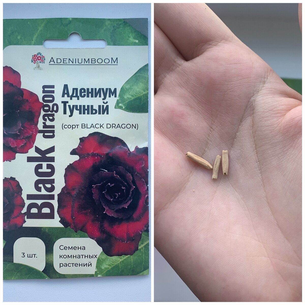 Упаковка и вид семян.