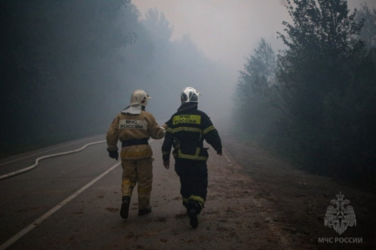    В Пермском крае ликвидирован лесной пожар в Краснокамском округе