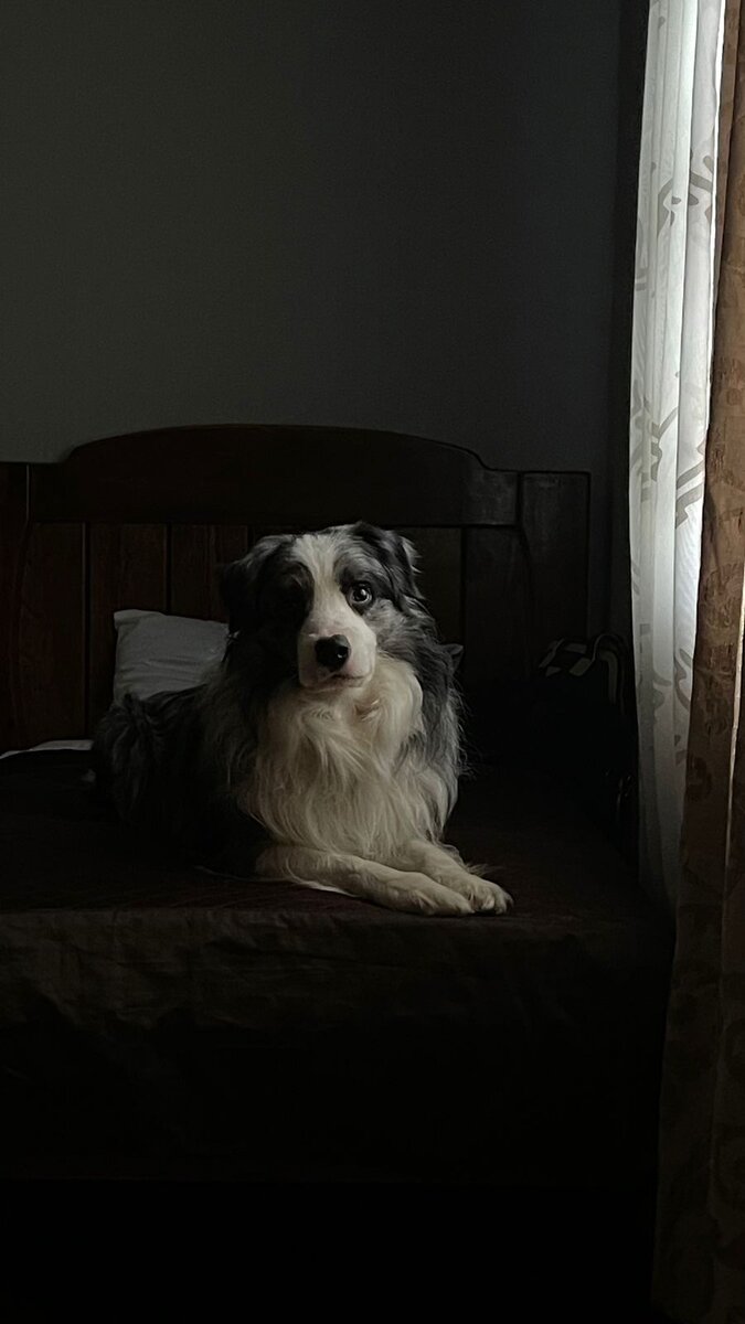 Чегевара (Тео)