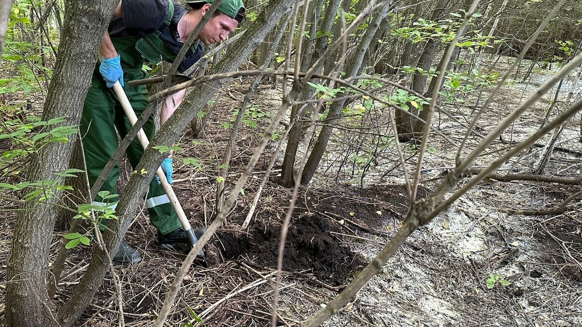     Арский молочный комбинат «Арча» загрязнил почву сточными водами с резким и неприятным запахом. Из-за прорыва трубопровода пострадал микрорайон «Питомник». Об этом сообщили в пресс-службе управления Росприроднадзора по РТ.