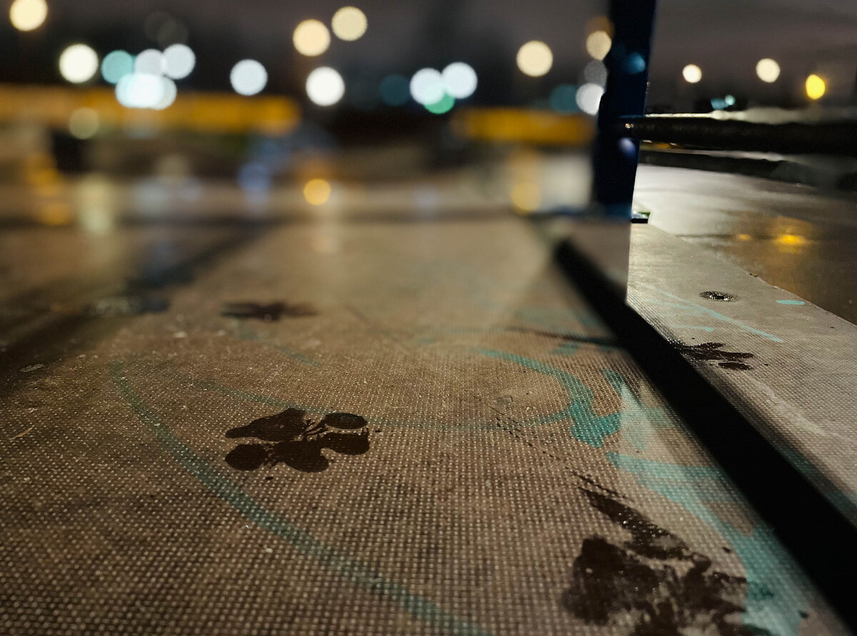 Пес успел убежать.