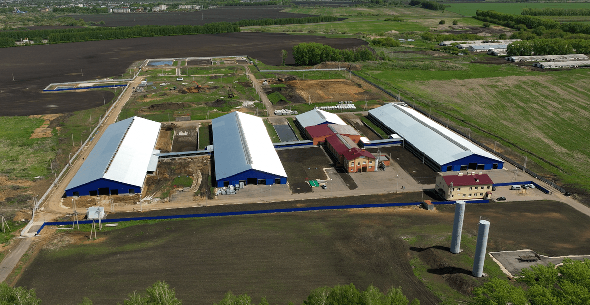 животноводческий комплекс из металлоконструкций