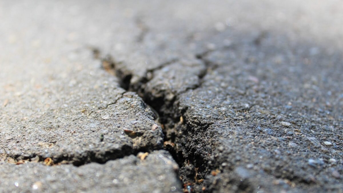    Фото: Unsplash Август Макаров