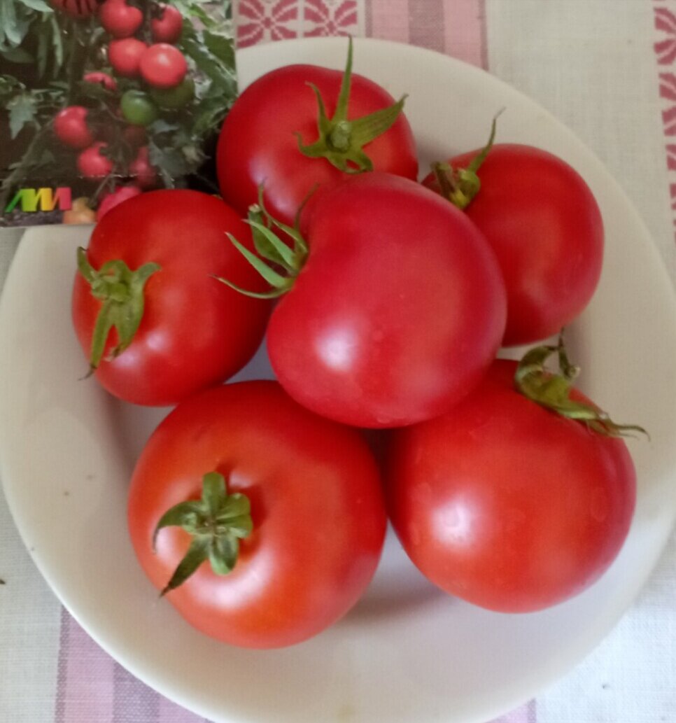 Томат "Снегопад" F1