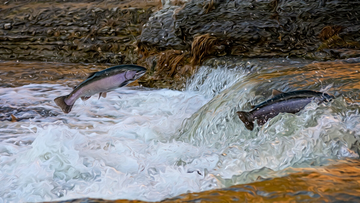 Фото Брэндона на Unsplash