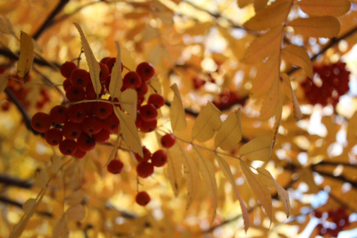   ГТРК "Ставрополье"