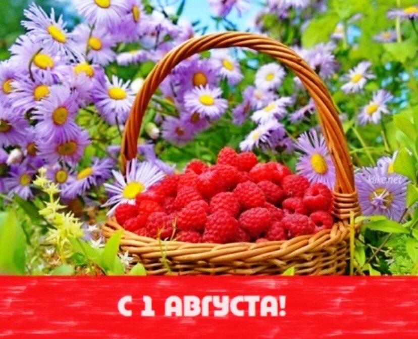 источник https://72tv.ru/