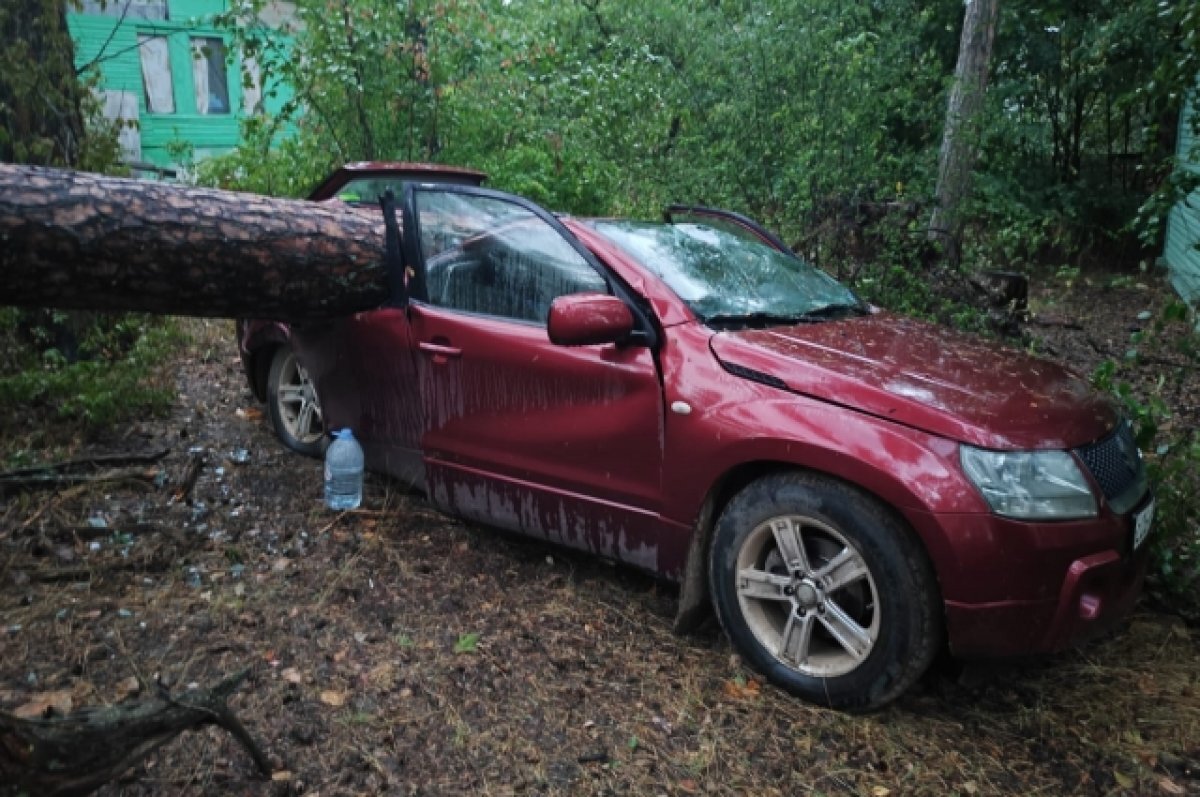    В результате урагана в Казани пострадали 23 человека