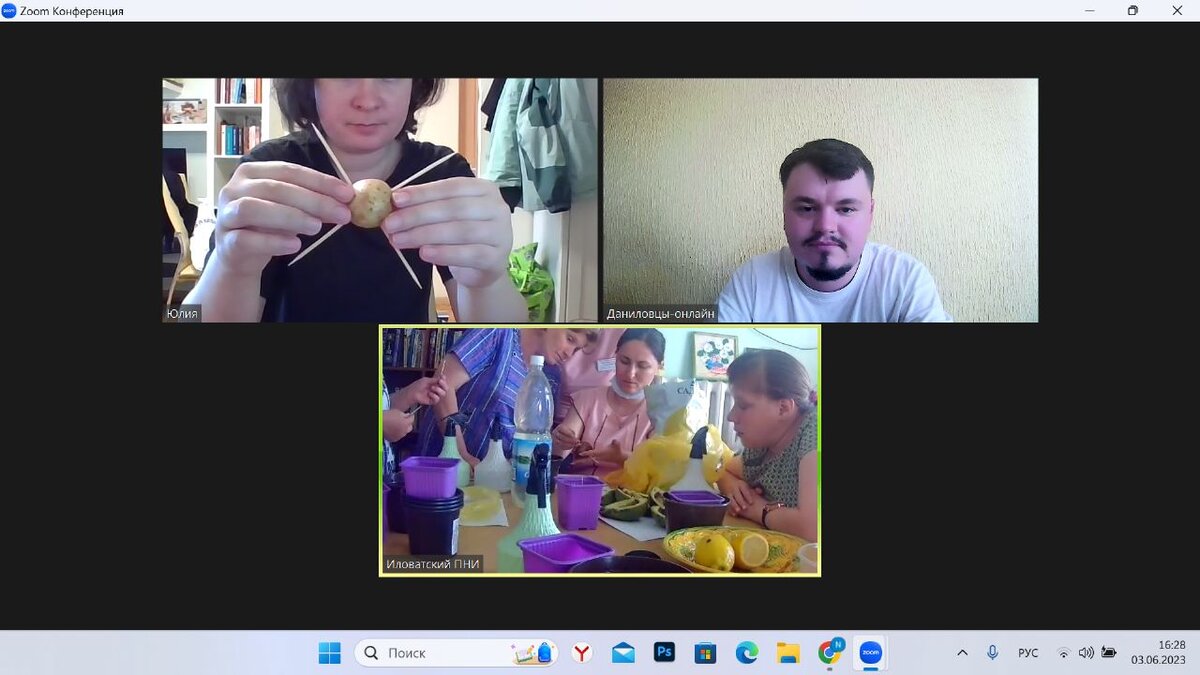 Так проращивают авокадо