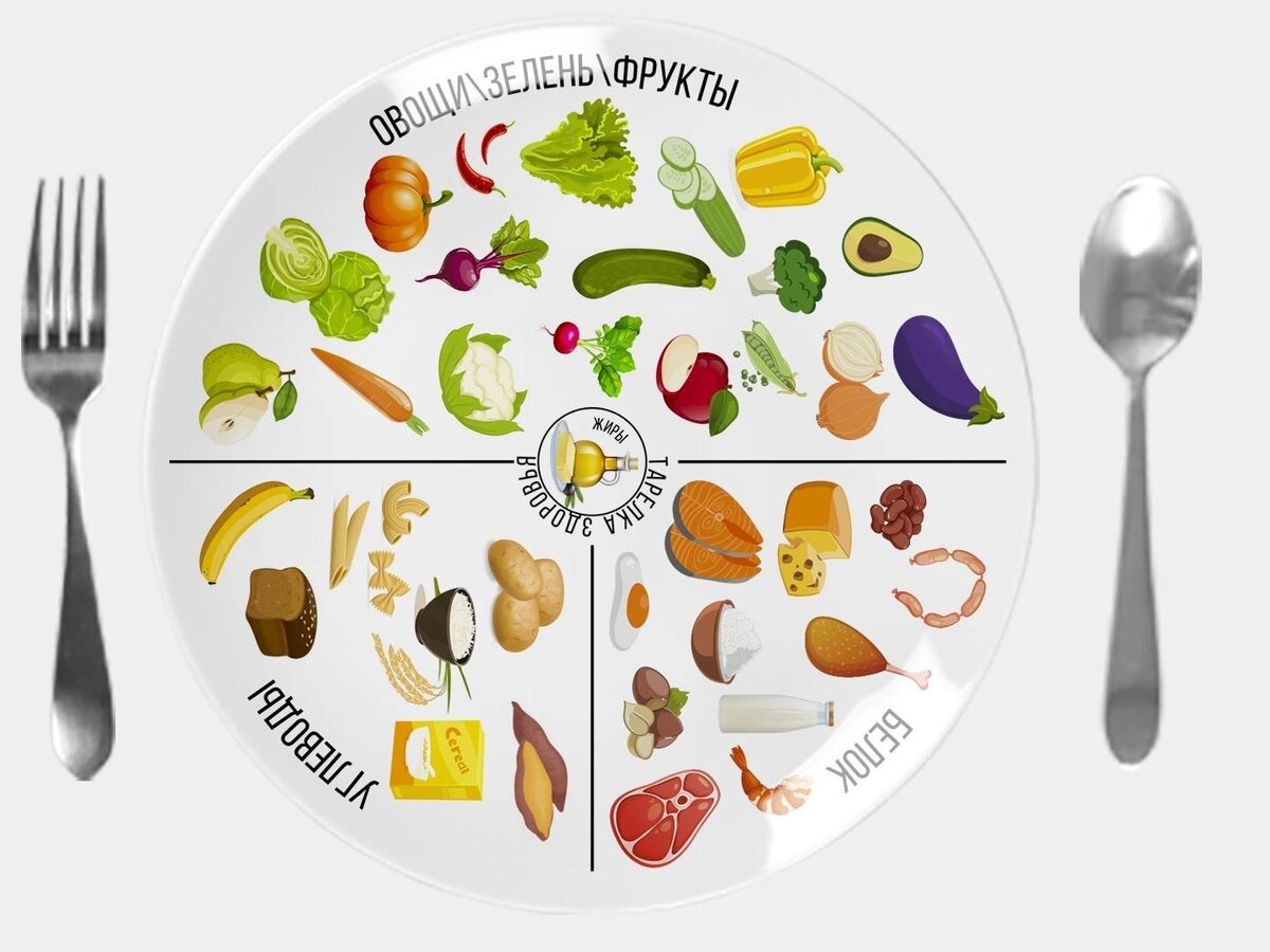 Фото правильной тарелки со сбалансированной едой Продукты с высоким содержанием белка Домадил  Рецепты, комнатные ра