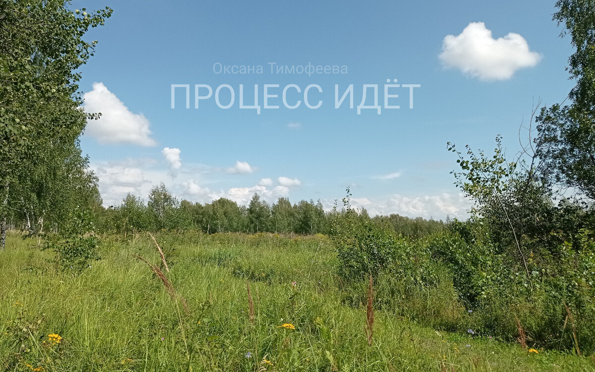 Зарайск