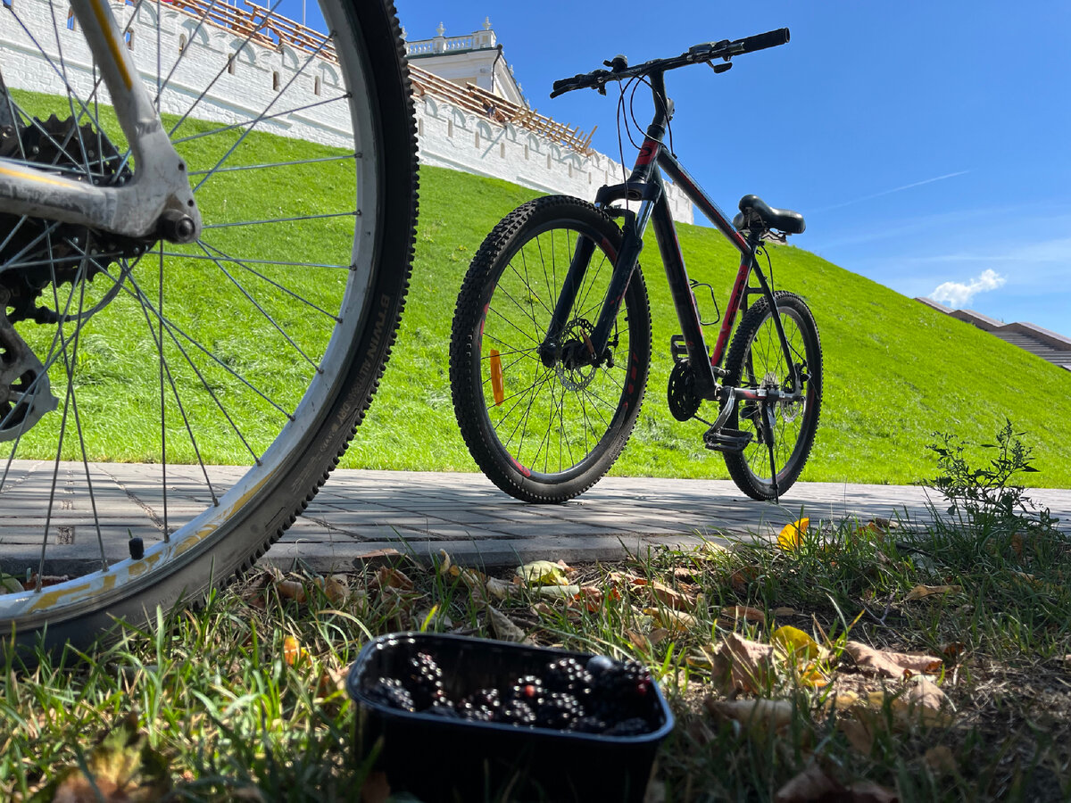 Свежая ежевика, велосипед, стены древнего Кремля - красота же!