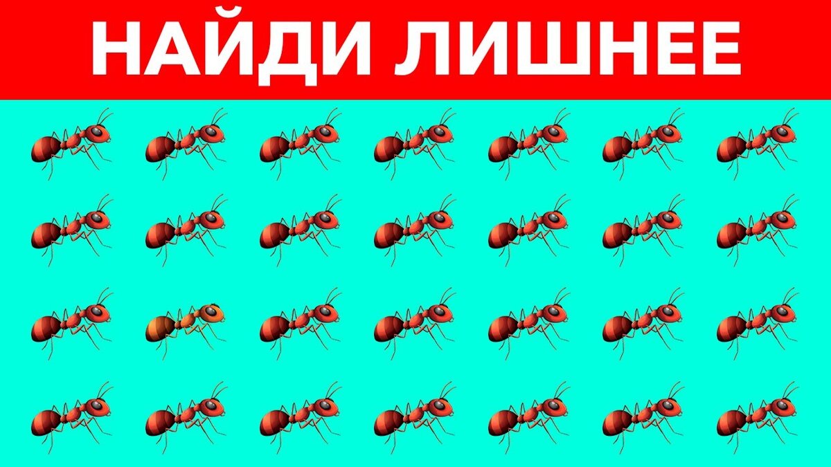 Источник www.storyblocks.com