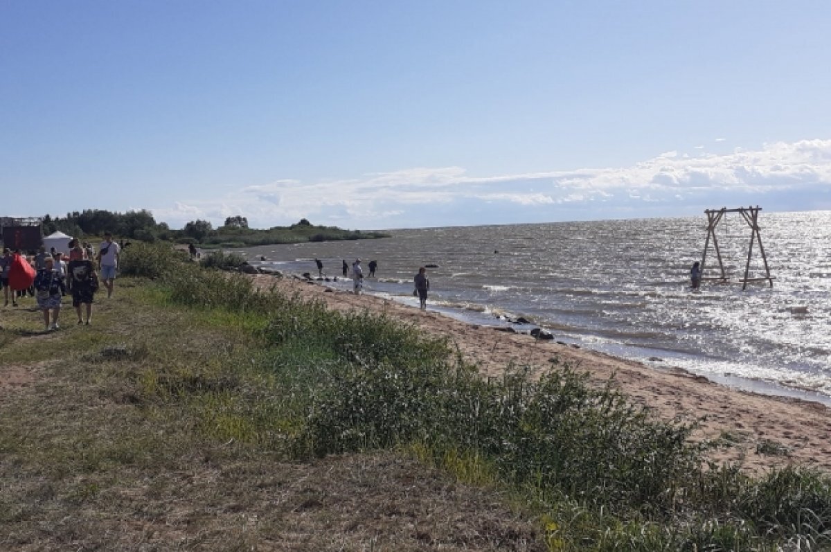    4-5 тысяч гостей ждут на фестивале «Наше море» в Гдове