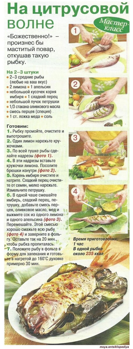 Самые свежие рецепты для Вас!