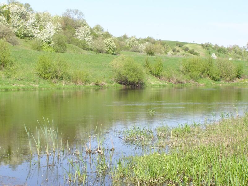 Цветущие Удрики